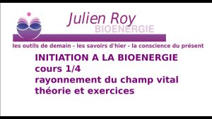 Bioénergie :Comprendre et Ressentirson Champ Vital