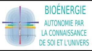 La Bioénergie :Bilan, Mesures & Pratique Quotidienne